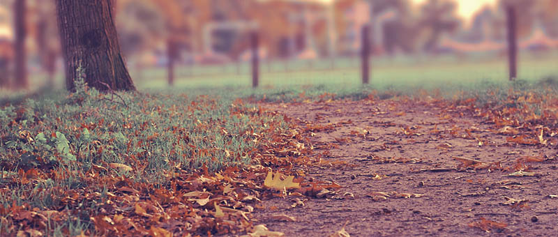 免费手机号轰炸